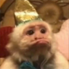 七八铁皮网